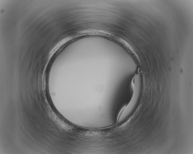 X0000085061082200704021339