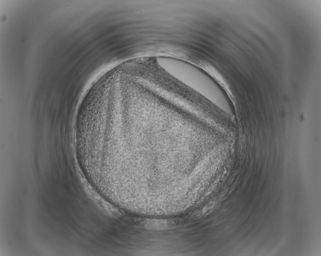 X0000085061088200704021339