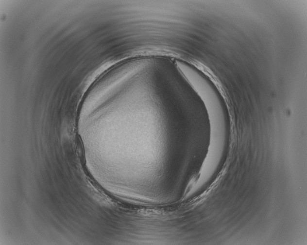 X0000085061089200704021339
