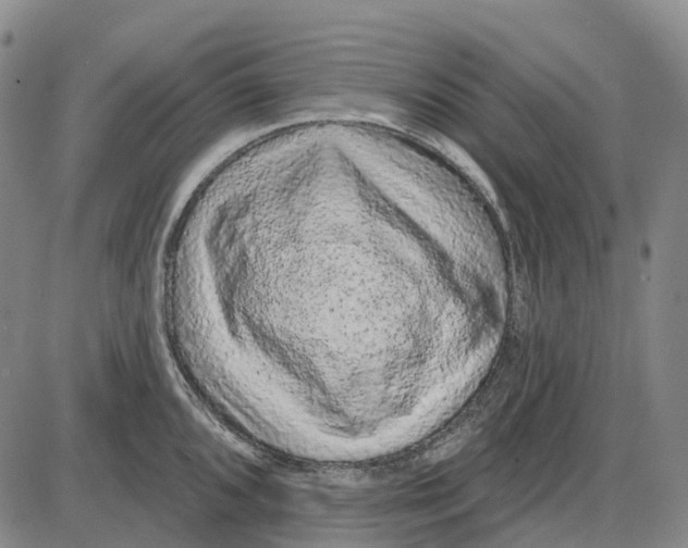 X0000085061096200704021338