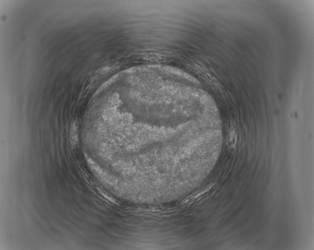 X0000085061106200704021338