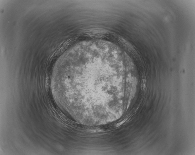 X0000085061108200704021338