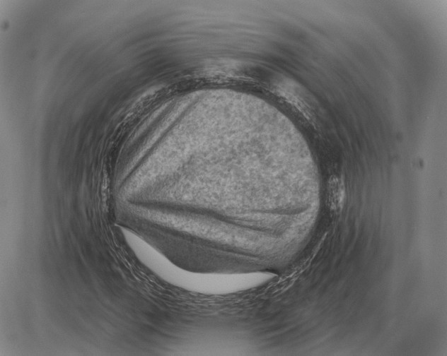 X0000085061111200704021338