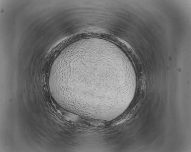 X0000085061112200704021338