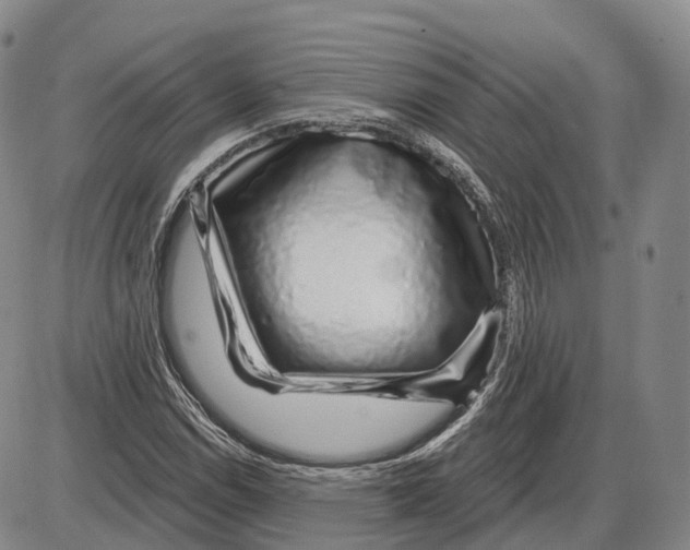 X0000085061114200704021338
