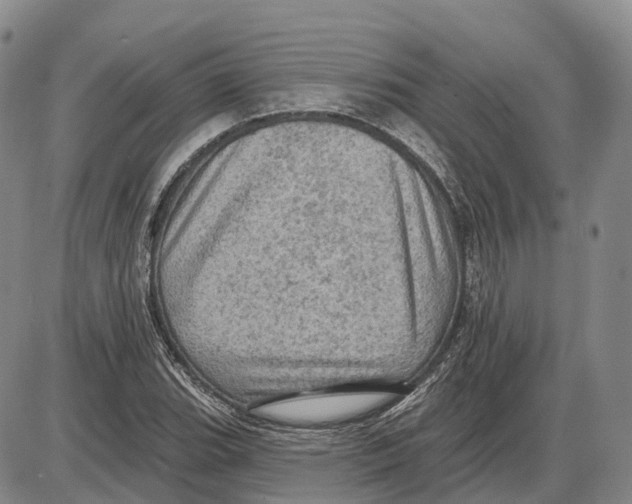 X0000085061119200704021338