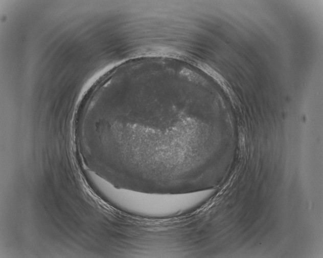 X0000085061120200704021338