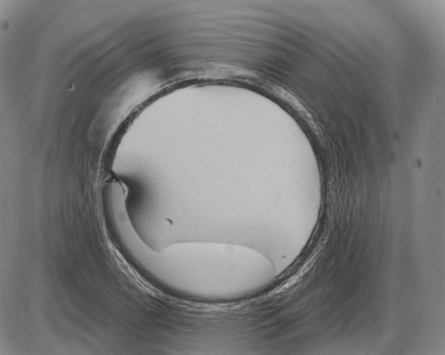 X0000085061122200704021338