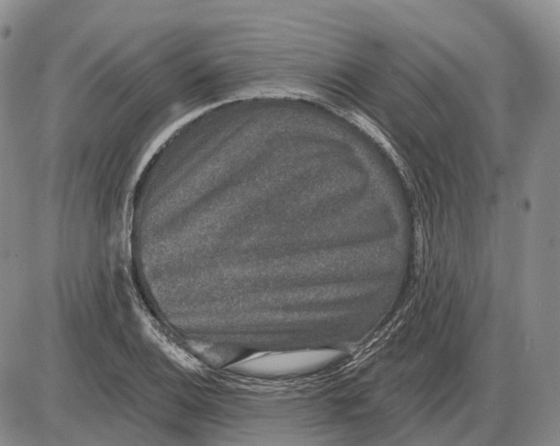 X0000085061124200704021338