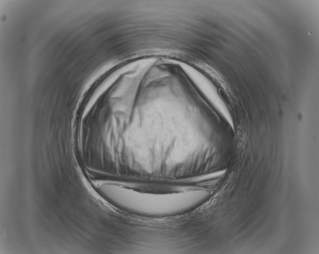 X0000085061135200704021338