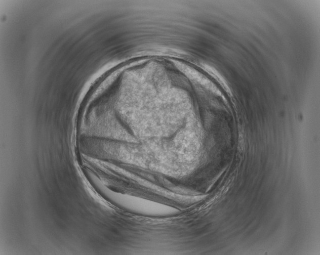 X0000085061136200704021338