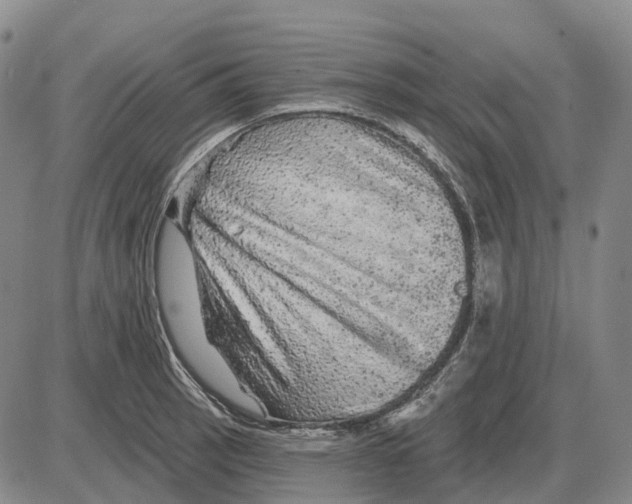 X0000085061137200704021338