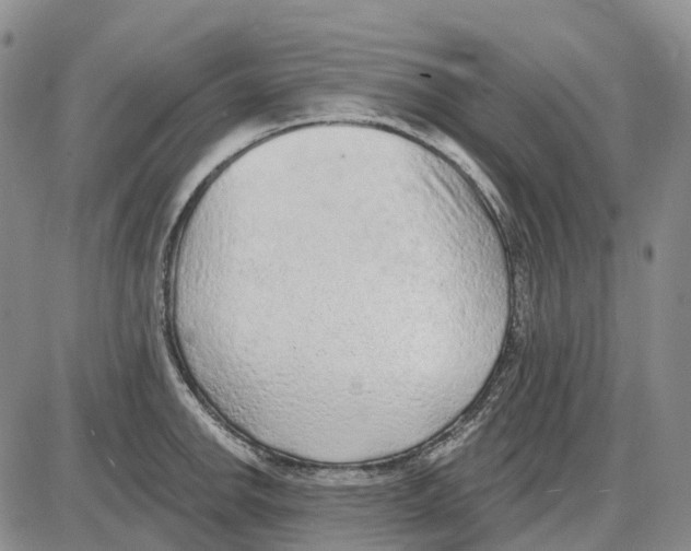 X0000085061142200704021338