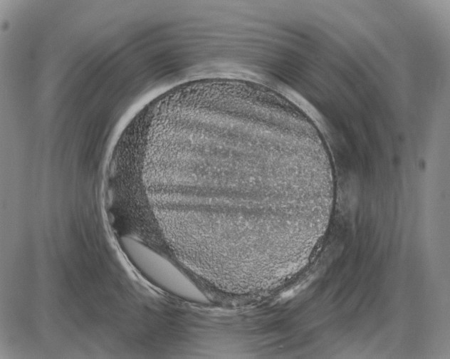 X0000085061144200704021338
