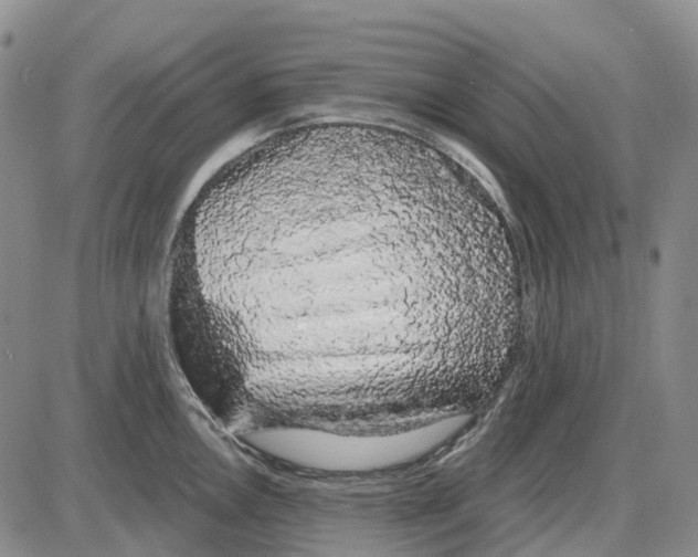 X0000085061146200704021338