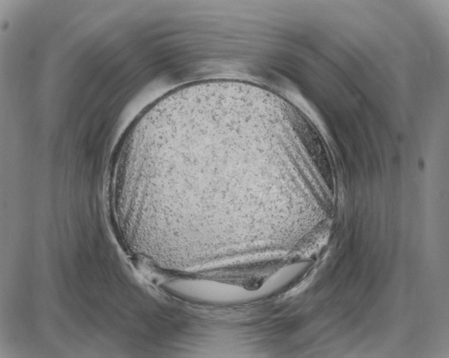 X0000085061149200704021338