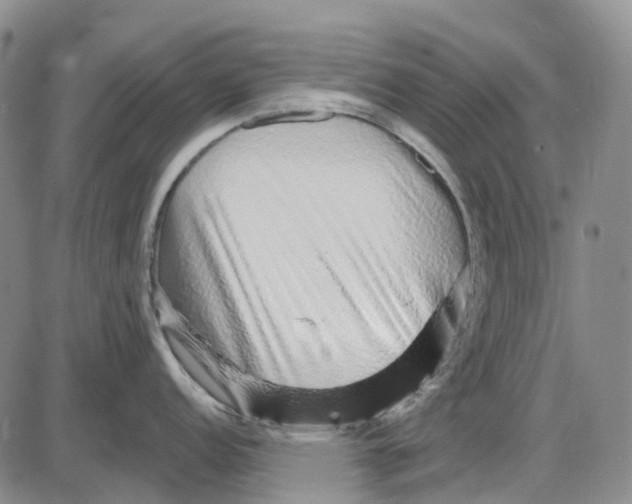 X0000085061152200704021338
