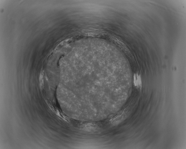 X0000085061155200704021338