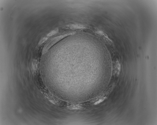 X0000085061157200704021337
