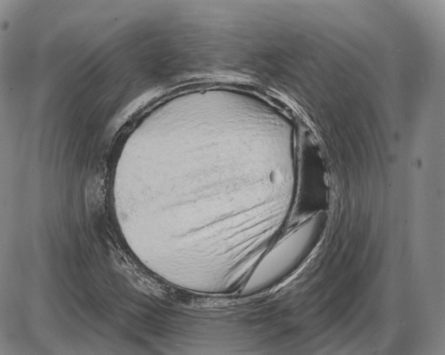X0000085061163200704021337