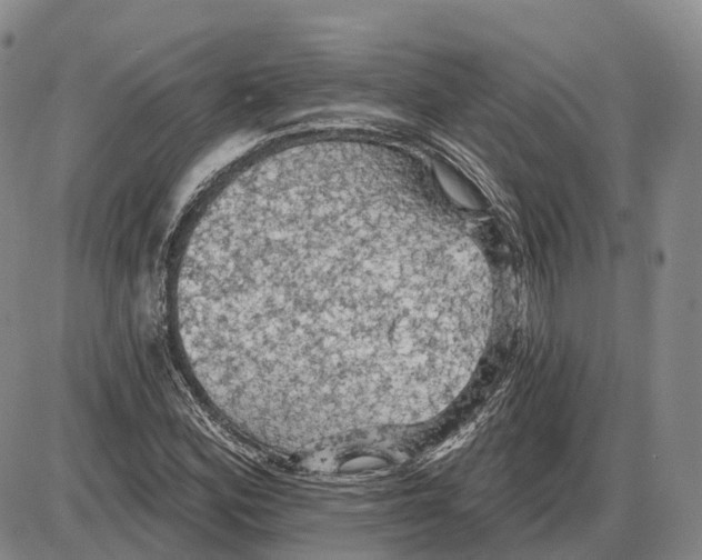 X0000085061164200704021337