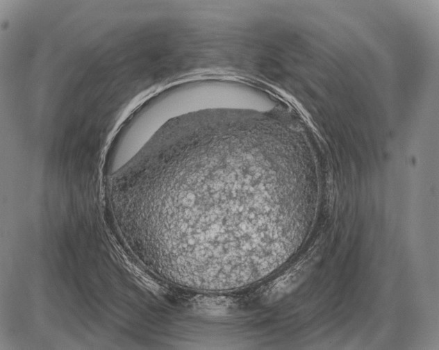 X0000085061168200704021337