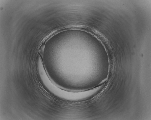 X0000085061169200704021337