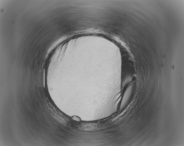 X0000085061171200704021337