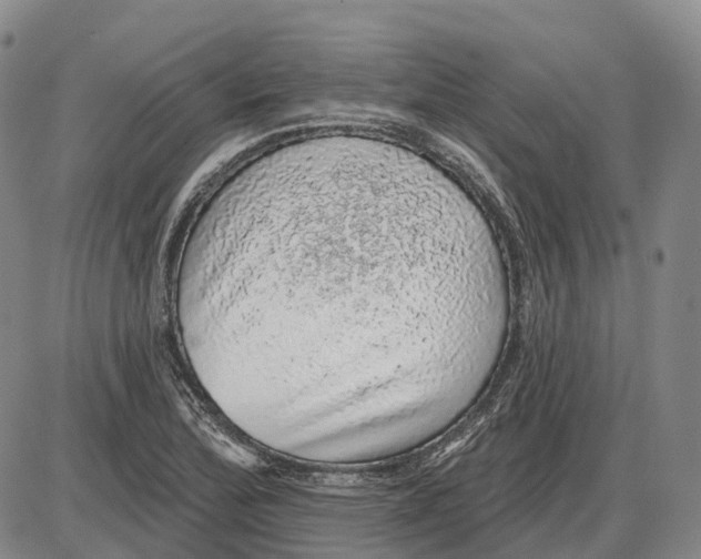 X0000085061172200704021337