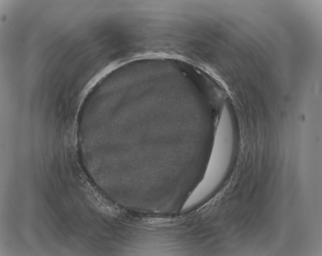 X0000085061173200704021337