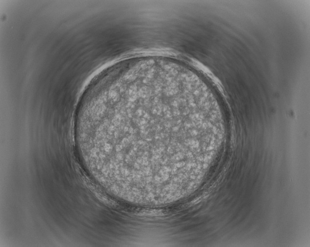 X0000085061174200704021337