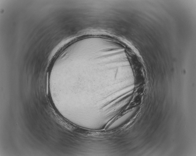 X0000085061175200704021337