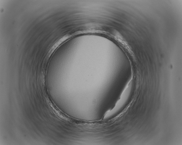 X0000085061177200704021337