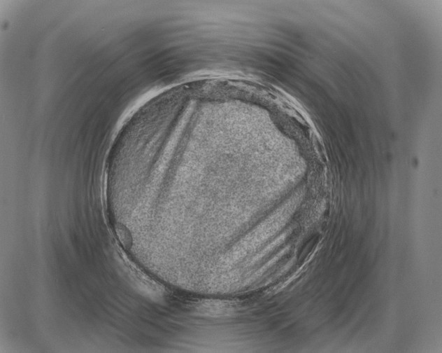 X0000085061179200704021337