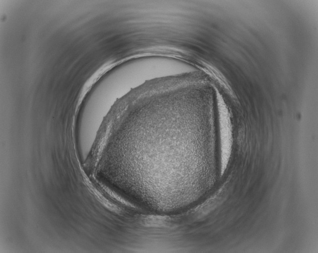 X0000085061180200704021337