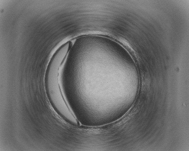 X0000085061181200704021337