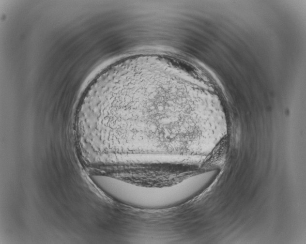 X0000085061192200704021337