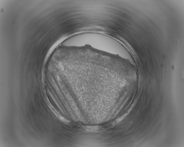 X0000085061196200704021337