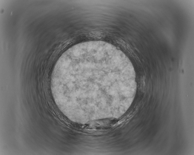 X0000085061201200704021336
