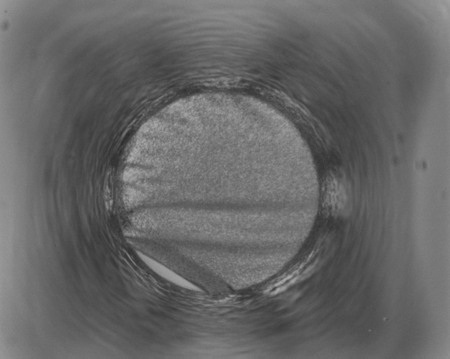 X0000085061202200704021336