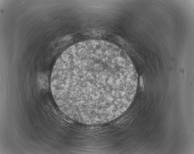 X0000085061203200704021336