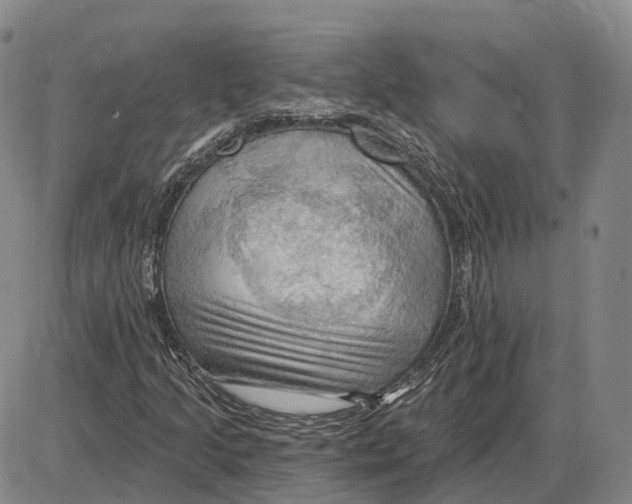 X0000085061205200704021336