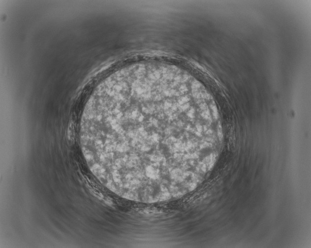 X0000085061207200704021336