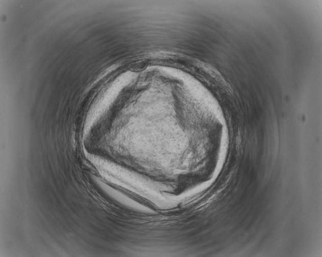 X0000085061209200704021336