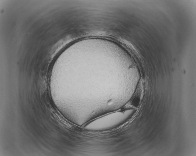 X0000085061212200704021336