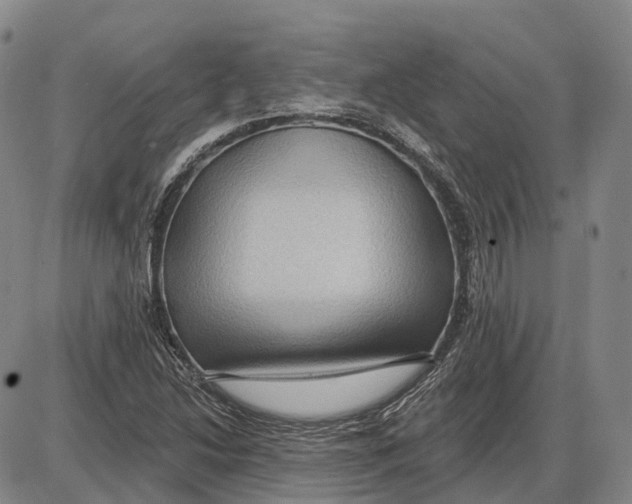 X0000085061214200704021336