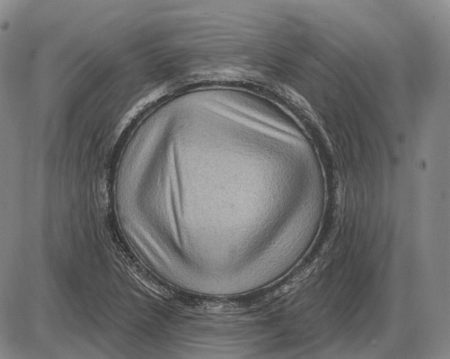 X0000085061218200704021336