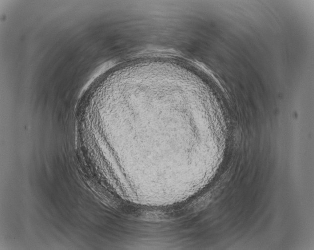 X0000085061219200704021336