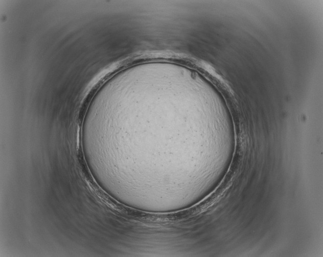 X0000085061221200704021336