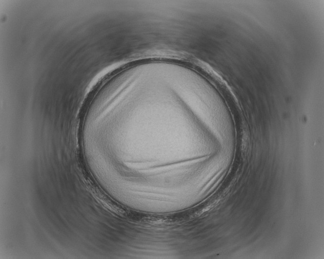X0000085061222200704021336